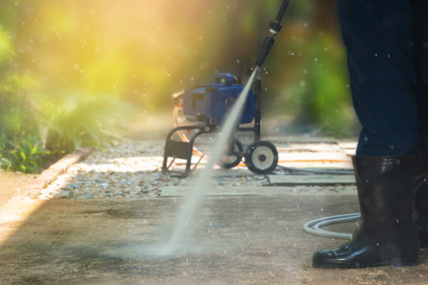 Best Roof Washing  in Flatonia, TX